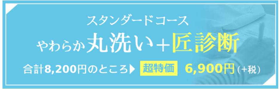 スクリーンショット 2024-12-31 172917